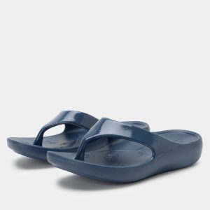 Ode Navy Gloss Sandal